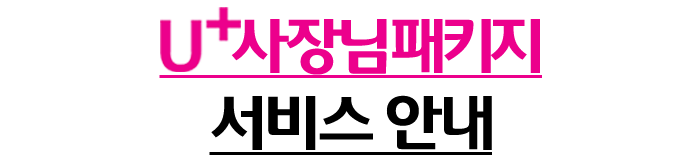 LG유플러스 사장님패키지 서비스안내