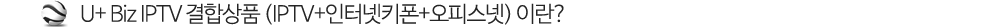 U+ biz 오피스넷 광기가 란?