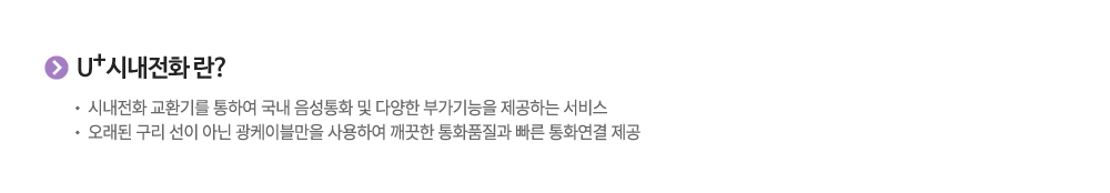 LG U+ Biz 시내전화란?