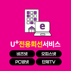 전용회선서비스