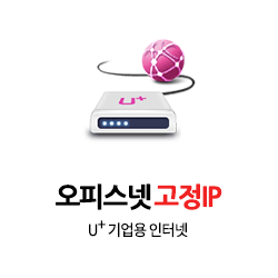 고정IP