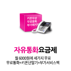 자유통화요금제