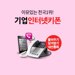 기업인터넷키폰