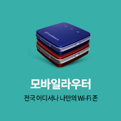 LTE라우터