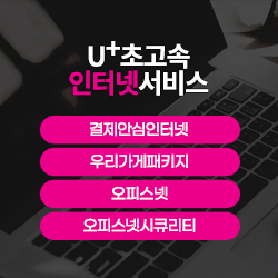 초고속인터넷서비스