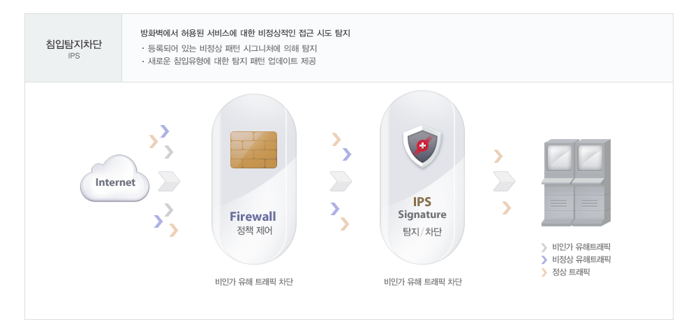 침입탐지차단 IPS